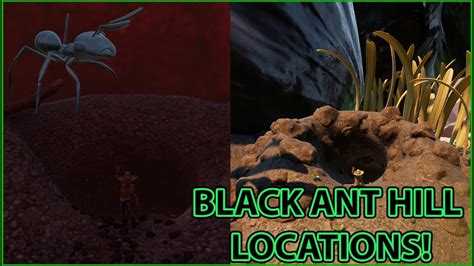 Update: Okay after 2 day's now I'm 100% convinced the latest patch has 1. . Grounded black ant hill location